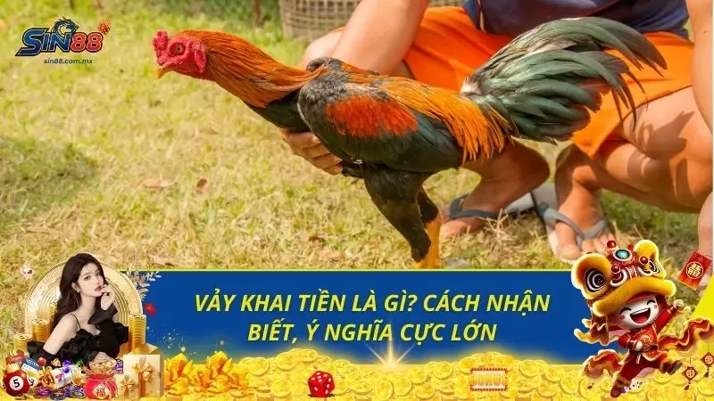 Vảy Khai Tiền Là Gì? Cách Nhận Biết, Ý Nghĩa Cực Lớn